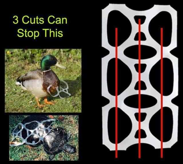 three_cuts_save_lives