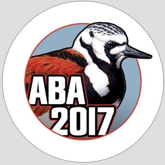 aba_boty-2017